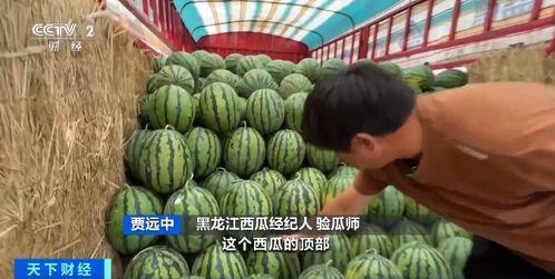穿成吃瓜系统