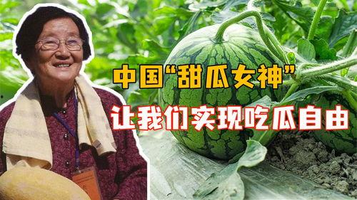 国家级吃瓜人员
