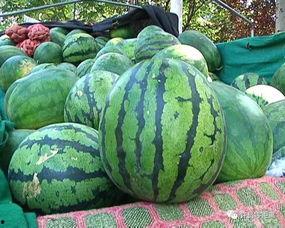 如何看待吃瓜现象