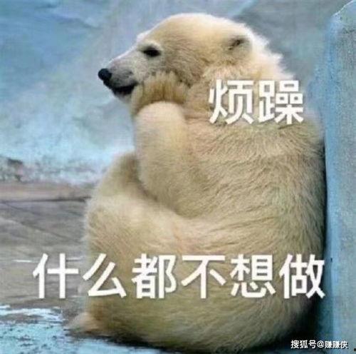 吃瓜找我图片,吃瓜群众眼中的娱乐圈风云录