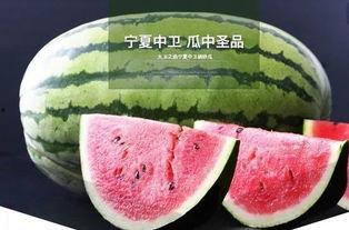 鲤鱼山路吃瓜,夏日美食盛宴